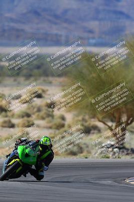 media/Apr-14-2024-SoCal Trackdays (Sun) [[70f97d3d4f]]/1-Turn 5 Tree of Life (920am)/